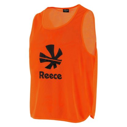 Afbeeldingen van Team Mesh Hesje