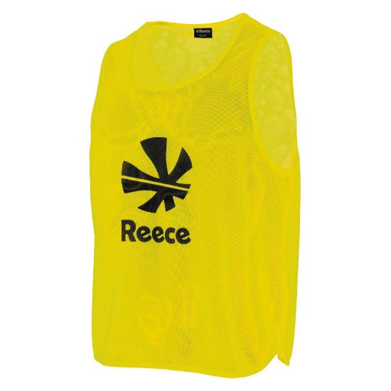 Afbeeldingen van Team Mesh Hesje 